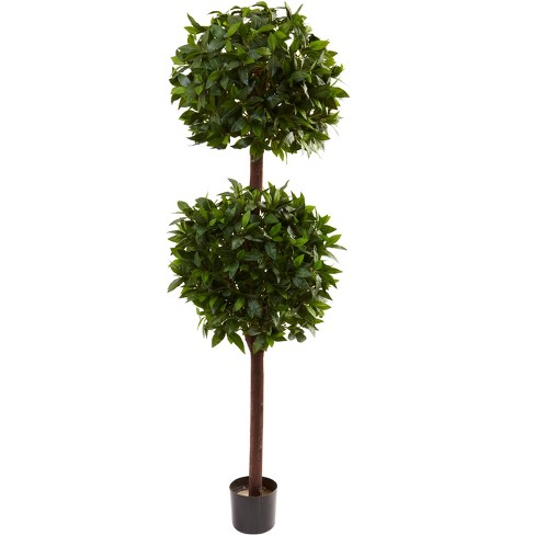 Nearly Natural 6-ft Sweet Bay Double Ball Topiary - image 1 of 2