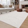 Fluffy Rug Feet Extra Large Plush Shaggy Rugs for Living Room - 4 of 4