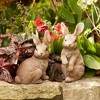Melrose Garden Rabbit Figurine (Set of 3) - 2 of 4