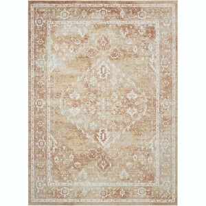 Nourison Washable Astra Vintage Persian Indoor Flatweave Area Rug - 1 of 4