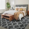 Fluffy Runner Rug, Soft Plush Non-Slip Hallway Carpet for Bedroom Living Room Kids Girls Boys Dorm, Shag Furry Non-Shedding Floor Decor - 3 of 4