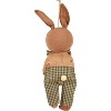 Primitives by Kathy Egg Basket Bunny Ornament - 2 of 4