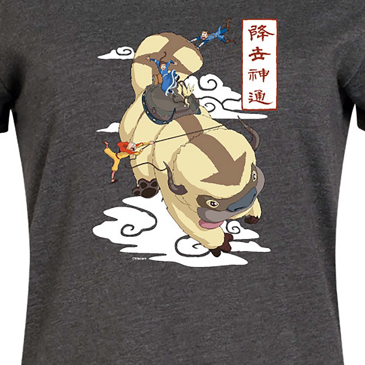 Women's - Avatar - The Last Airbender - Appa Flying Graphic T-shirt Dress - thumbnail 8