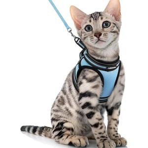 rabbitgoo Cat Harness and Leash Set for Walking Kittens Vest with Reflective Strip for Cats, Comfortable Outdoor Vest, Light Blue, XL - 1 of 1