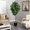 Nearly Natural 74-in Ficus Artificial tree in Black Tin Planter - 4 of 4