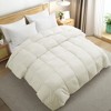 Peace Nest Ultra Soft All Season Down Comforter - 2 of 4