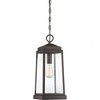 Quoizel Lighting Ravenel 1 - Light Pendant in  Western Bronze - 3 of 4