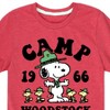 Boys' - Peanuts - Camp Woodstock Short Sleeve Graphic T-Shirt - 2 of 4