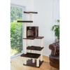 GleePet GP78680723 66-Inch Real Wood Cat Tree In Coffee Brown With Four Levels, Two Perches, Condo - 3 of 4