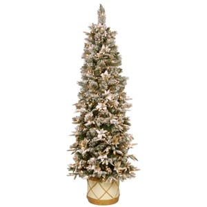 National Tree Company 6 ft. Frosted Colonial Slim Half Tree with Clear Lights - 1 of 4