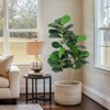 Artificial Ficus Plant - Realistic Faux Plant, Decorative Home and Office Greenery, Indoor Silk Fabric Leaves, Imitation Foliage, Multi-Stem Design - 4 of 4