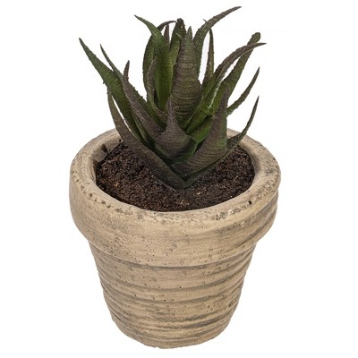 Vickerman Artificial Assorted Potted Artificial Succulents