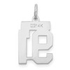 Black Bow Jewelry 14k White Gold, Jersey Collection, Small Number 91 Pendant - 3 of 4