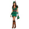 Robbin' Da Hood Women's Costume - Green - 2 of 4