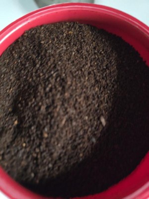 Guest review image 1 of 4, zoom in