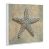 Stupell Industries Starfish Beach Objects Design, 12" x 12" - 3 of 4