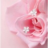 Solid 925 Sterling Silver Plumeria Flower Stud Earrings for Women Teen Girls Crystal Flower Stud Earrings - 3 of 4