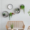 NAYSAYE Planter Farmhouse Round Metal Wall Planter Set of Five Modular Planter for Vertical Garden, Gray, 17"*17"*5" - 4 of 4