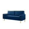65'' Velvet Minimalist Loveseat Sofa with Metal Legs, Includes Cushions, Suitable for Living Room or Bedroom - 4 of 4