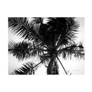 Trademark Fine Art -Debra Van Swearingen 'Palm Tree Looking Up Iii' Canvas Art - 1 of 4