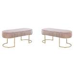 Simple Relax Set of 2 Velvet Bench with Metal Base in Pink