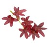Unique Bargains Wrinkle Resistant Natural Look Home Decoration Artificial Orchid Flower - 3 of 4