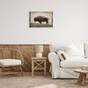 Stupell Industries Serene Buffalo on Country Hill Floating Frame Canvas Art - 3 of 4