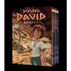 Young David Series Box Set - by  Andy McGuire (Paperback) - 1 of 1