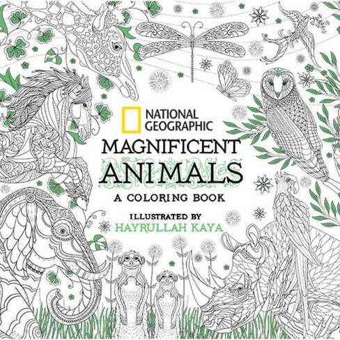 Download National Geographic Magnificent Animals Paperback Target