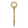 Black Bow Jewelry 14K Yellow Gold, Varsity Collection, Medium D/C Pendant Number 4 - 2 of 4