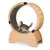 FURNIinspire Cat Exercise Wheel, Running, Spinning, and Scratching Fun, Cat Treadmill with Carpeted Runway, Kitty Cat Sport Toy, 35"*13.7"*49.6" - 2 of 4