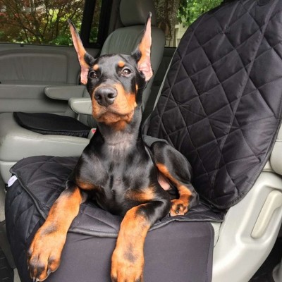 Black Quilted Waterproof Dog Car Seat Cover