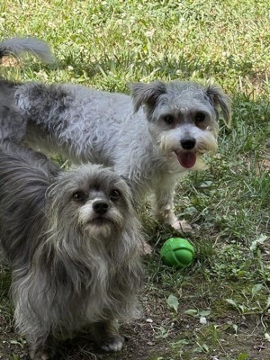 Guest review image 1 of 3, zoom in