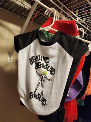 Baby Clothes Hangers - White - Cloud Island™ : Target