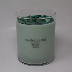 19oz Glass Jar 2-Wick Eucalyptus Leaf Candle - Room Essentials™