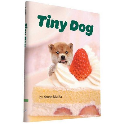 Tiny Dog - (Hardcover)