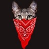 Men's Design By Humans Gangster Cat By clingcling T-Shirt - 2 of 4