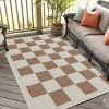 Playa Rug Daisy Rectangle Woven Indoor Outdoor Rugs - image 3 of 4