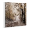 Stupell Industries Sunlit Woodland Nature Trail, 12" x 12" - 3 of 4