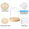 Unique Bargains Wooden Base Plants Home Decor Glass Bell Jar Display Case - 3 of 4