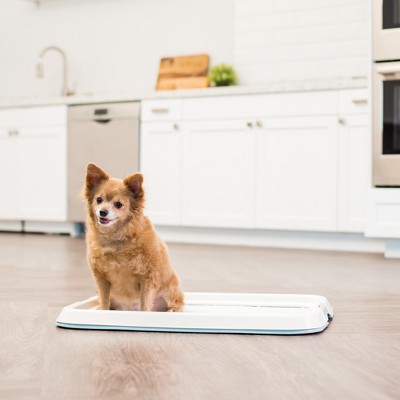 Blue Medium Dog Pad Holder with Non-Skid Rubber Feet