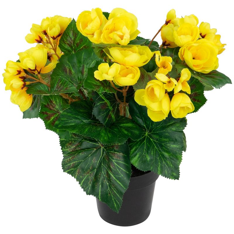 Northlight 11" Yellow Potted Silk Begonia Spring Artificial Floral Arrangement, 3 of 6