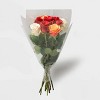Rainbow Rose Bunch - Good Little Garden™ - 4 of 4