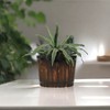 Cheung's Mariva Dark Brown Wood Decor Bucket Large - 3 of 4