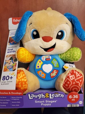 Guest review image 3 of 5, zoom in