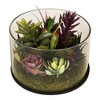 Northlight 8" Mixed Succulent Artificial Arrangement in Round Glass Jar - Green/Pink - 3 of 4