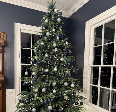 Guest review image 1 of 1, zoom in