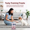 Blue Buffalo Valentine Bites Chicken Flavor Training Dog Treats - 4.5oz - 4 of 4