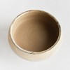 Plum & Post Maude Footed Decorative Bowl - 4 of 4