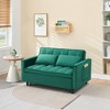 54.3'' Fabric 2-Seater Sofa Bed with 2 Pillows, Solid Wood Frame and High-Density Sponge Cushioning - 4 of 4